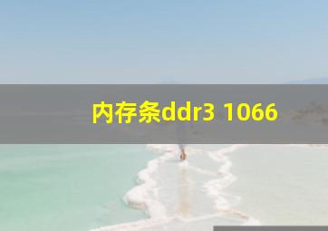 内存条ddr3 1066